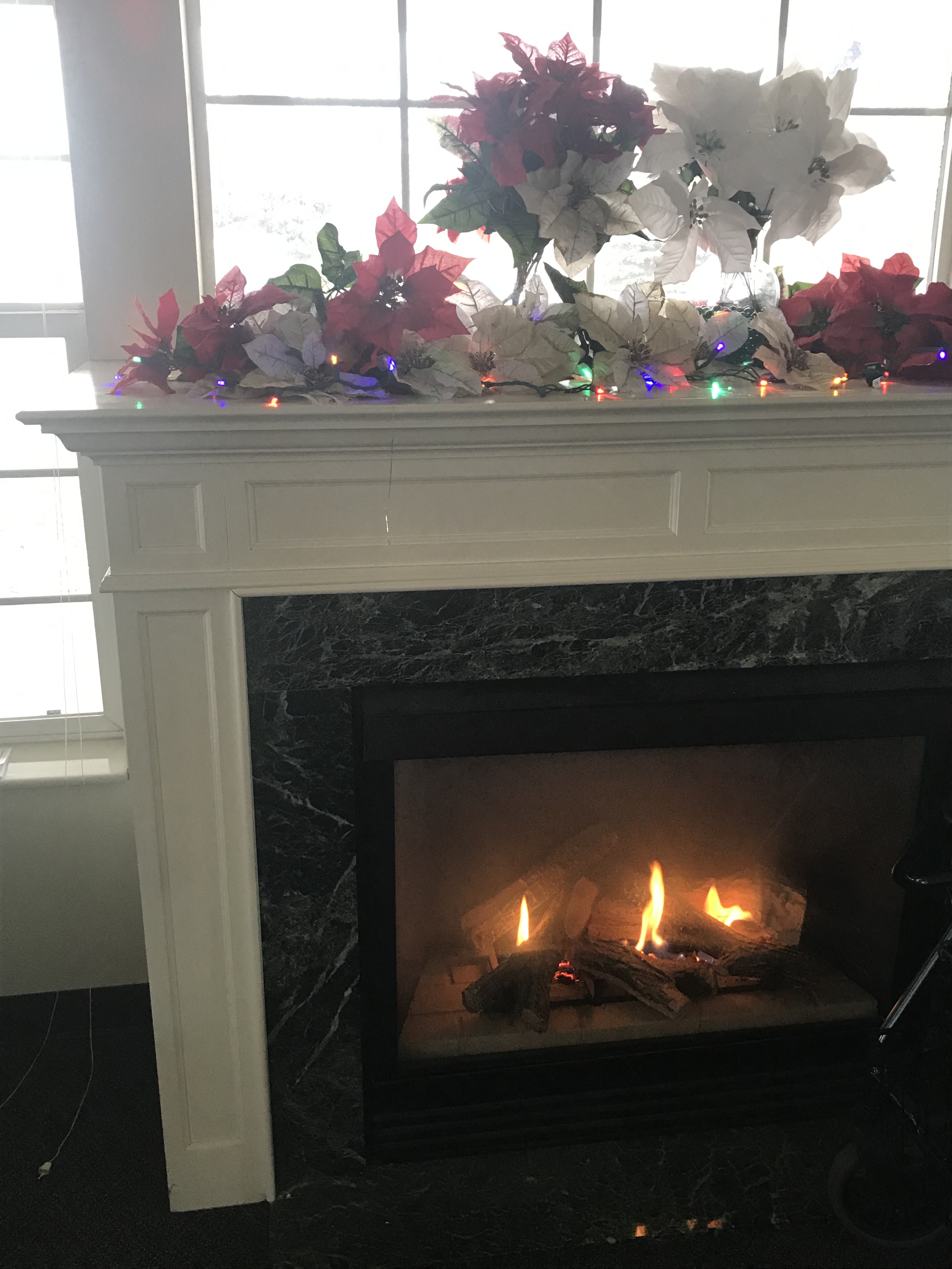 Sugarwood Apartments Apartments in Belleville, WI